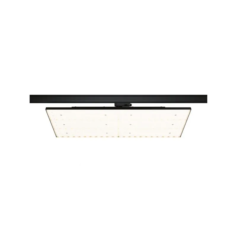 Neue Kollektion Paulmann ProRail3 Panel Kratos in Schwarz 75W