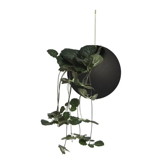 Globe Pflanzentopf Ø17xH28 Black/Gold - AYTM Heißes Angebot