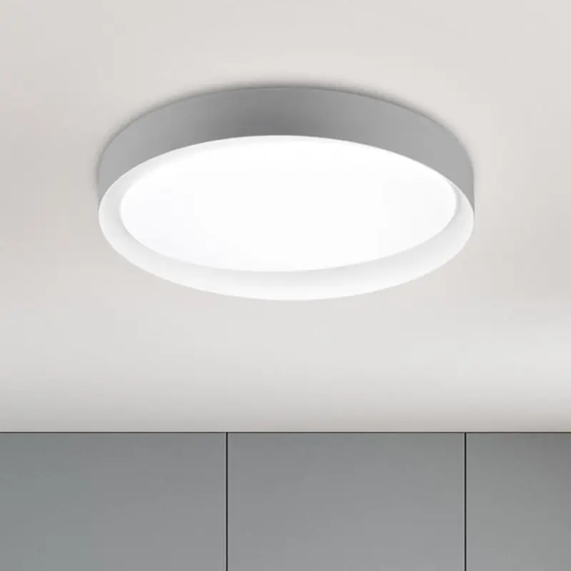 Markenprodukt Graue Deckenlampe Modern, Joas, 24W, warm- bis kaltweiß einstellbare LED, mit Fernbedienung