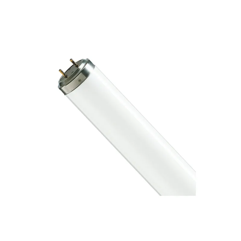 Philips T8 Flexo print 40W | 60cm - UVA Saisonangebot